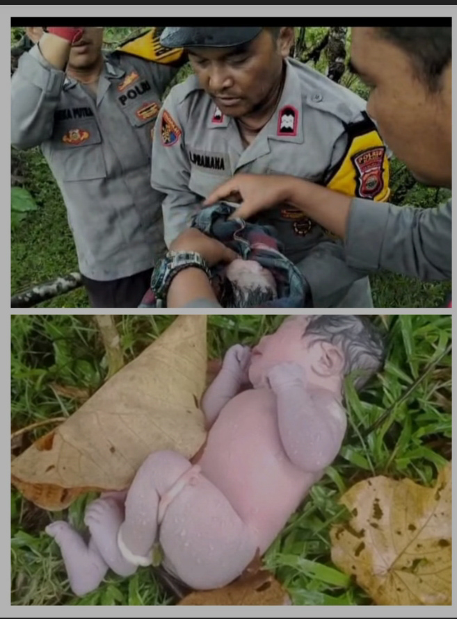 KAUR GEGER : Misteri Penemuan Bayi di Kaur ; Orang Tua Dicari